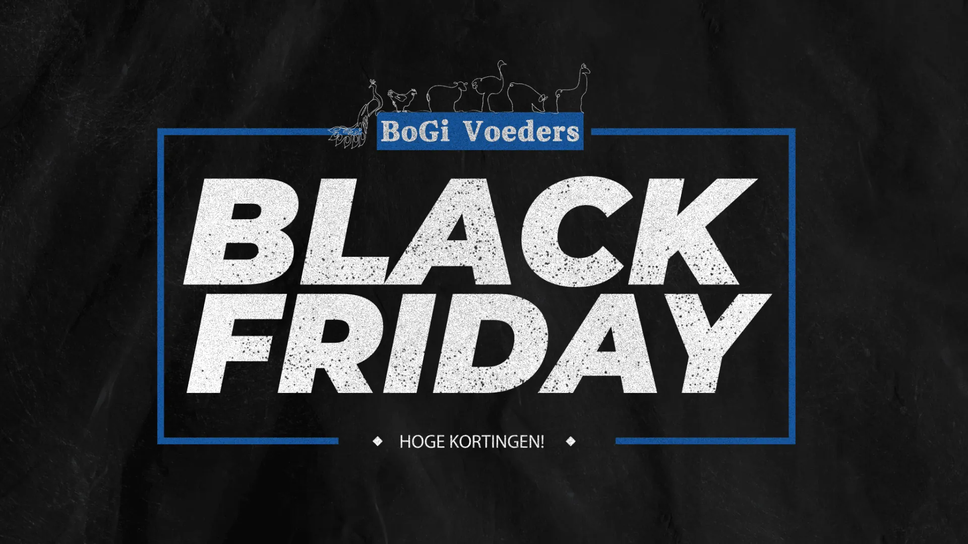 BoGI Voeders Black Friday